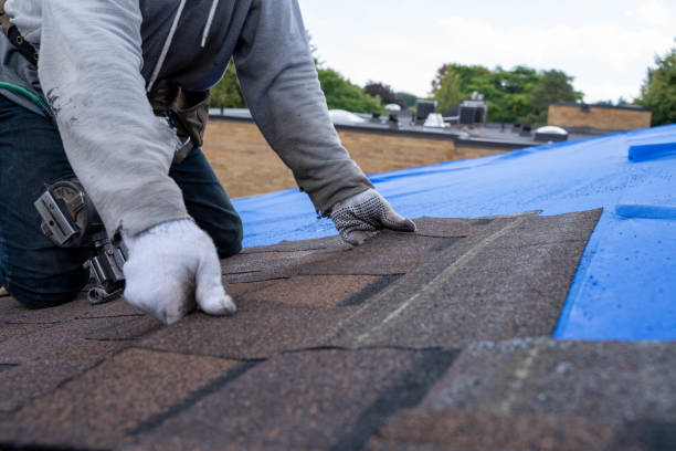 Roof Gutter Cleaning in Hauser, ID