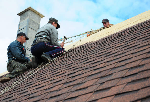 Best Storm Damage Roof Repair  in Hauser, ID